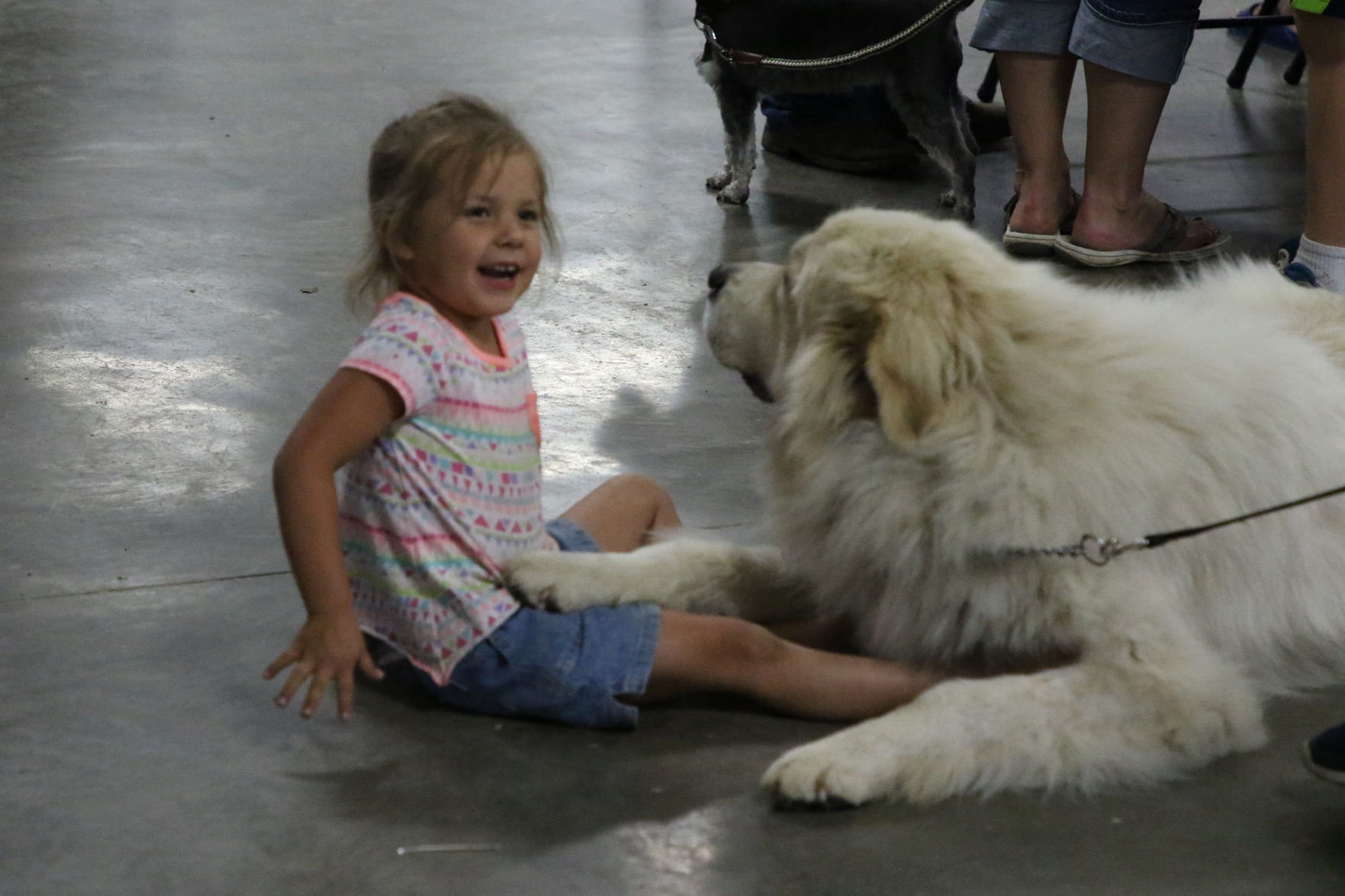 Dog Show (7).JPG